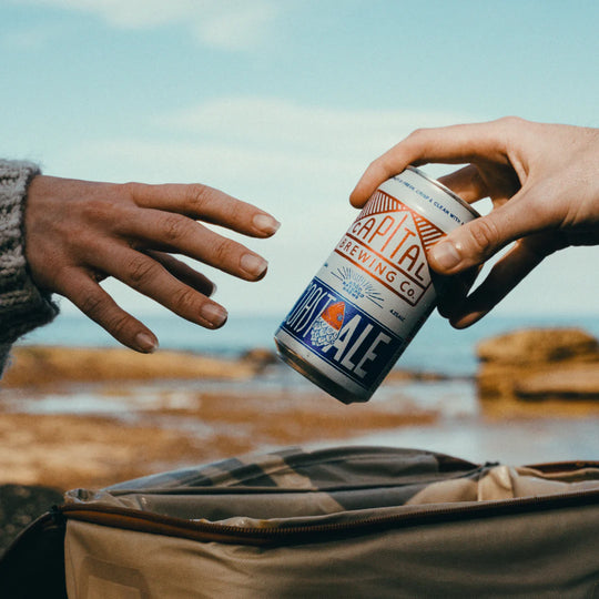 Coast Ale - Sales Seller